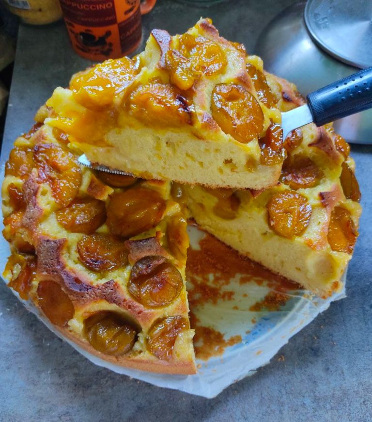 Jednostavni kolač sa šljivama